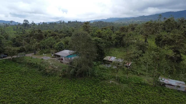 Finca Ganadera de Venta en Los Bancos — imagen 5
