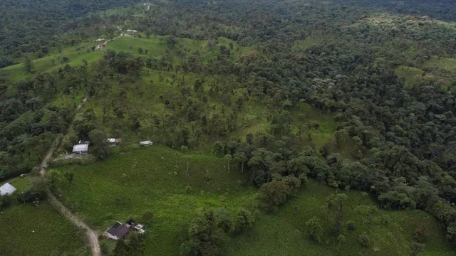 Finca Ganadera de Venta en Los Bancos — imagen 3