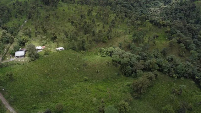 Finca Ganadera de Venta en Los Bancos — imagen 2