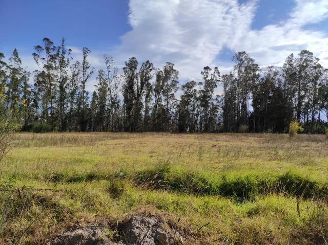 Lote Terreno de Venta a 10 Minutos de Guayllabamba, 2.5 Hectáreas — imagen 4