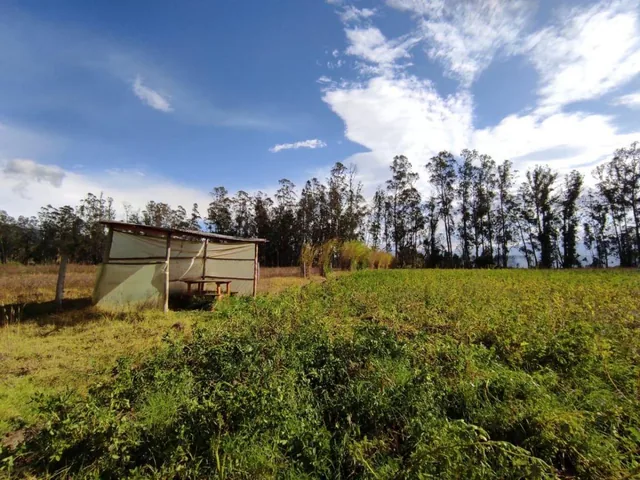 Lote Terreno de Venta a 10 Minutos de Guayllabamba, 2.5 Hectáreas — imagen 3