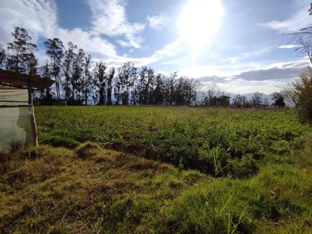 Lote Terreno de Venta a 10 Minutos de Guayllabamba, 2.5 Hectáreas — imagen 2