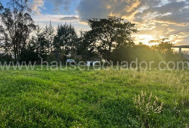 Amplio Terreno Plano en La Tola, Píntag, con Gran Potencial de Desarrollo — imagen 2