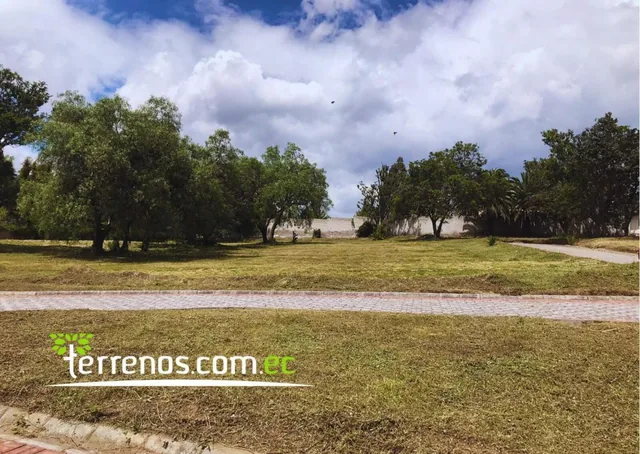 Terrenos de Venta en Puembo Desde 606 m² Hasta 1065 m², Conjunto Alcobendas — imagen 3
