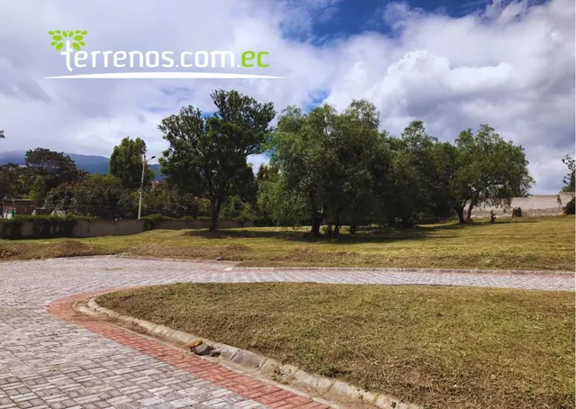 Terrenos de Venta en Puembo Desde 606 m² Hasta 1065 m², Conjunto Alcobendas — imagen 2
