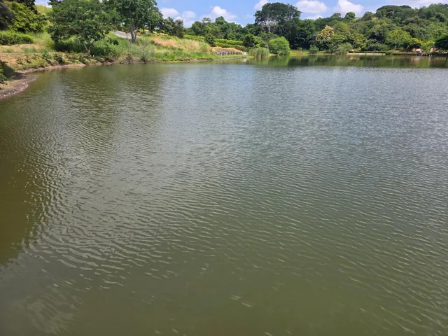 Vendo Terrenos en Via a La Costa, Lomas del Bosque, Urbanización con Guardiania 24/7, Km. 32.5, Guayas — imagen 3