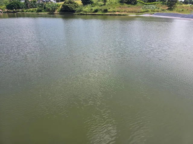 Vendo Terrenos en Via a La Costa, Lomas del Bosque, Urbanización con Guardiania 24/7, Km. 32.5, Guayas — imagen 2