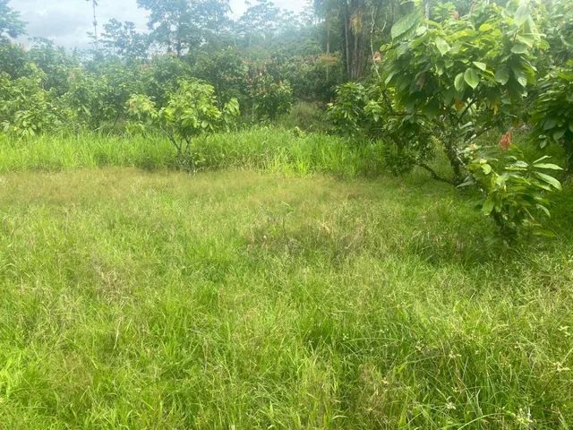 Puerto Quto, Vendo Terreno 11154 m², Sembrios, Estero, Seguridad¡ — imagen 5