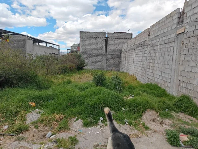 Venta de Terreno Plano en Quitumbe — imagen 4