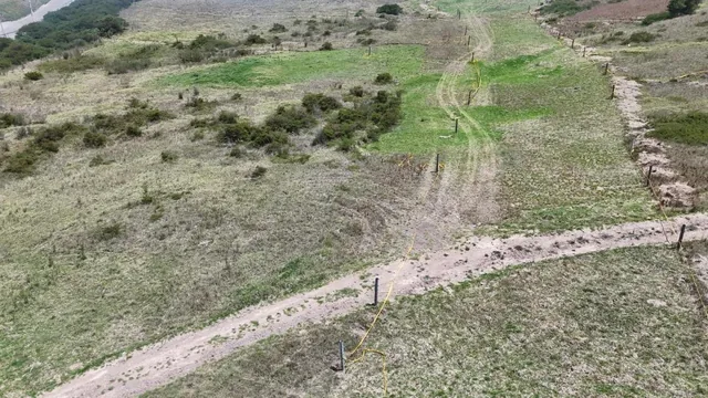 Terreno de 7835 m² en Venta en Pifo — imagen 2