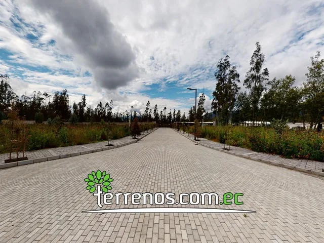 Terreno en Venta 1.134 m² Urb. El Arupo I, Llano Chico, a 5 Min Av Simón Bolívar — imagen 4