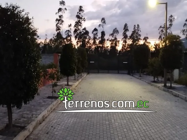 Terreno en Venta 1.134 m² Urb. El Arupo I, Llano Chico, a 5 Min Av Simón Bolívar — imagen 2
