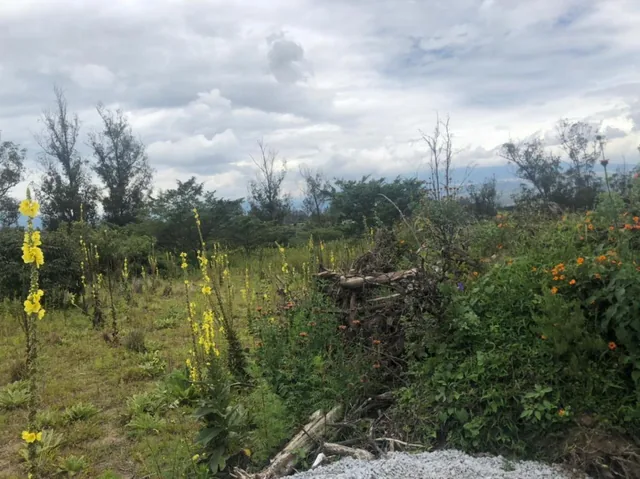 Terreno en Venta 24.405 m² en Checa — imagen 4