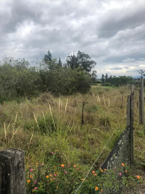 Terreno en Venta 24.405 m² en Checa — imagen 3
