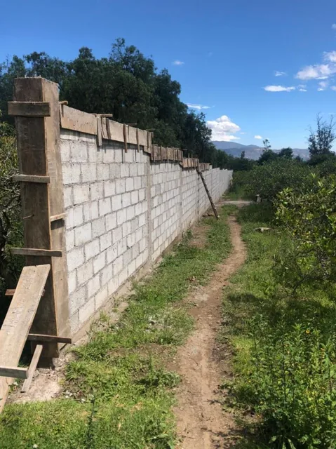 Terreno en Venta 24.405 m² en Checa — imagen 2