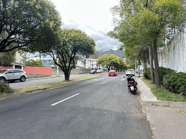 En Venta Espectacular Terreno Granda Centebo Para Proyectos Inmobiliarios — imagen 4