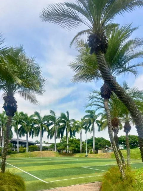 Terreno en Venta Urb. Isla del Rio, Mocoli, Guayas — imagen 4