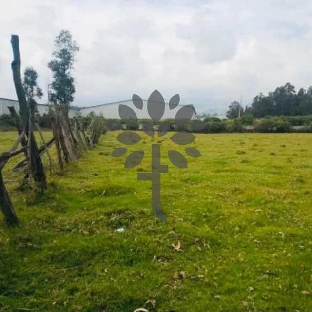 Terreno de Venta en Sangolquí de 9.000 m², Sector Bodegas del Supermaxi — imagen 5