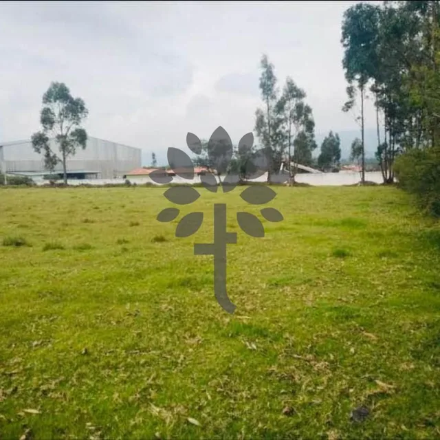 Terreno de Venta en Sangolquí de 9.000 m², Sector Bodegas del Supermaxi — imagen 4