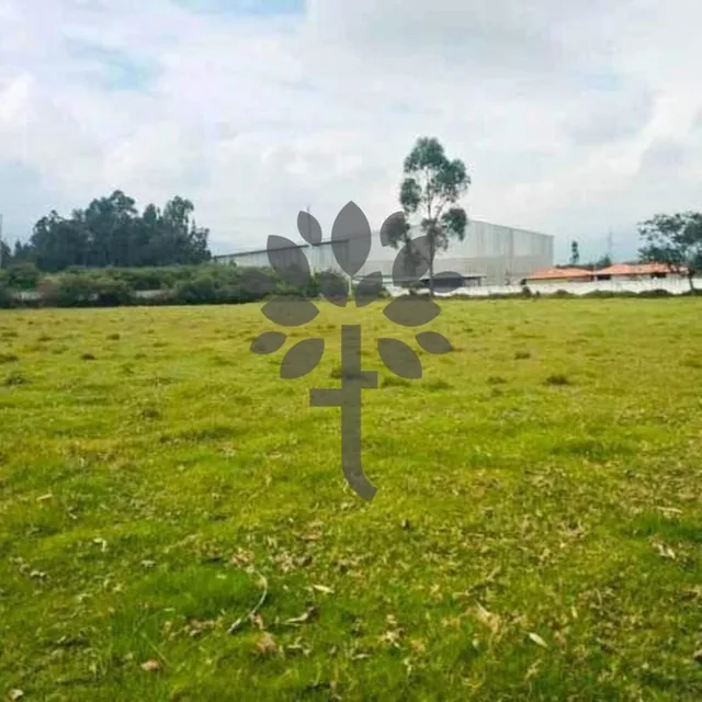 Terreno de Venta en Sangolquí de 9.000 m², Sector Bodegas del Supermaxi — imagen 3