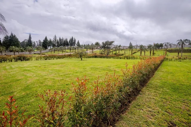 Terreno de 544 m en Espectacular Urbanización. Excelente Ubicación Puembo Pr — imagen 2