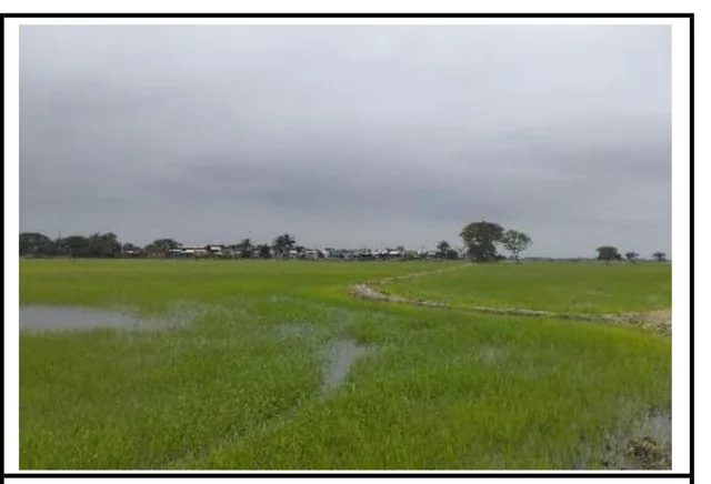 Terreno de 40.000 m² en Venta en Samborondón, Guayas — imagen 5