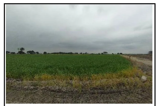 Terreno de 40.000 m² en Venta en Samborondón, Guayas — imagen 4