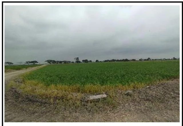 Terreno de 40.000 m² en Venta en Samborondón, Guayas — imagen 3