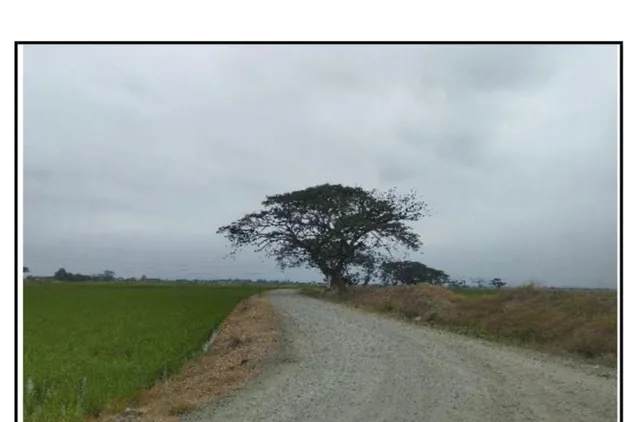 Terreno de 40.000 m² en Venta en Samborondón, Guayas — imagen 2