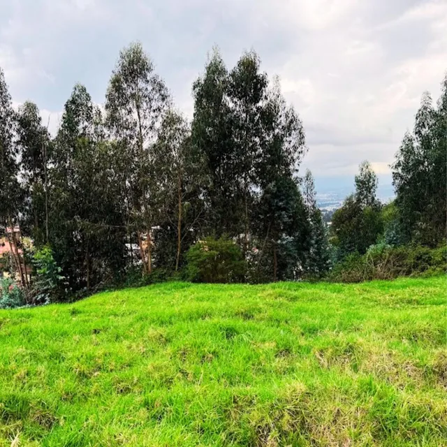 Terreno en Venta 2862 m² Conocoto La Salle — imagen 5