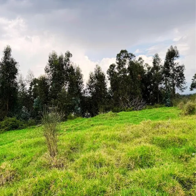 Terreno en Venta 2862 m² Conocoto La Salle — imagen 4