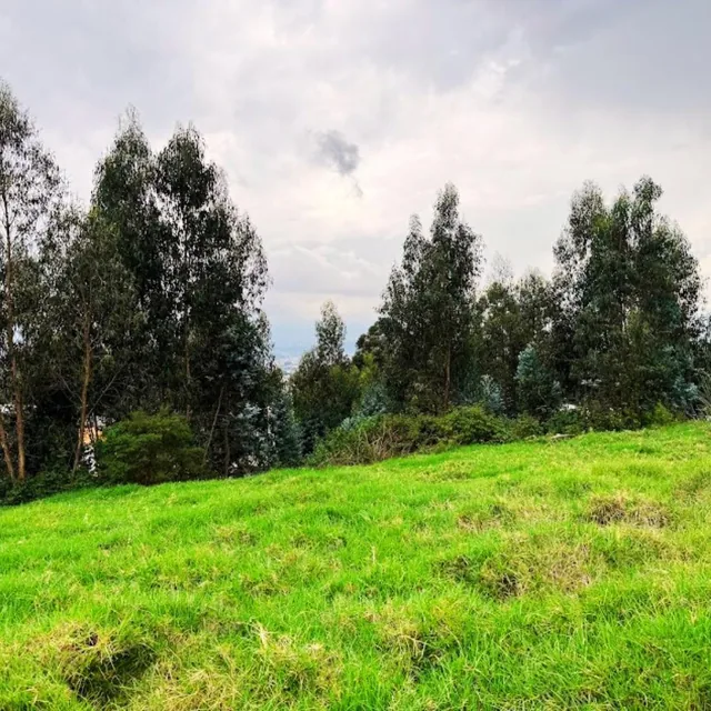 Terreno en Venta 2862 m² Conocoto La Salle — imagen 3