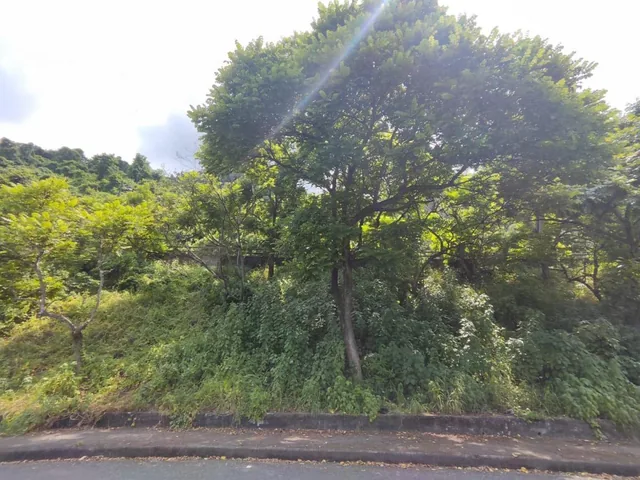 Venta de Amplio Terreno Cdla El Paraiso Norte Gye - Y. Vásquez, Guayas — imagen 5