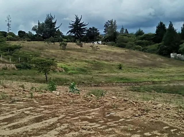 Vendo Terreno 30.000 m en Collaqui — imagen 5
