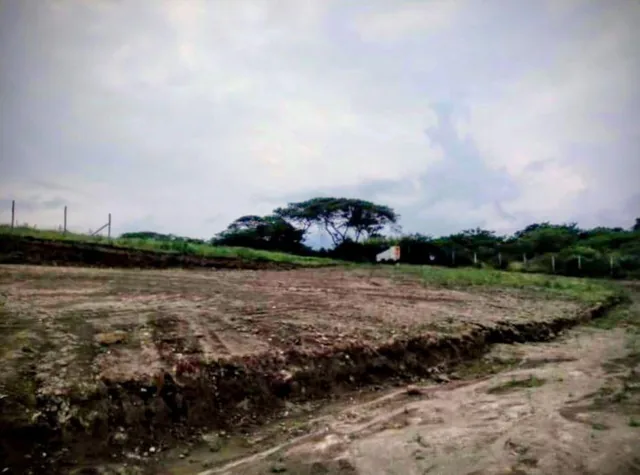 Vendo Terreno 30.000 m en Collaqui — imagen 2
