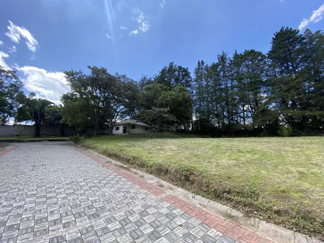 Terreno de Venta Dentro de Urbanización Cerrada y Exclusiva en Puembo — imagen 5