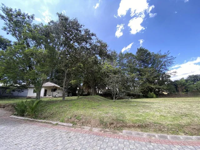 Terreno de Venta Dentro de Urbanización Cerrada y Exclusiva en Puembo — imagen 4