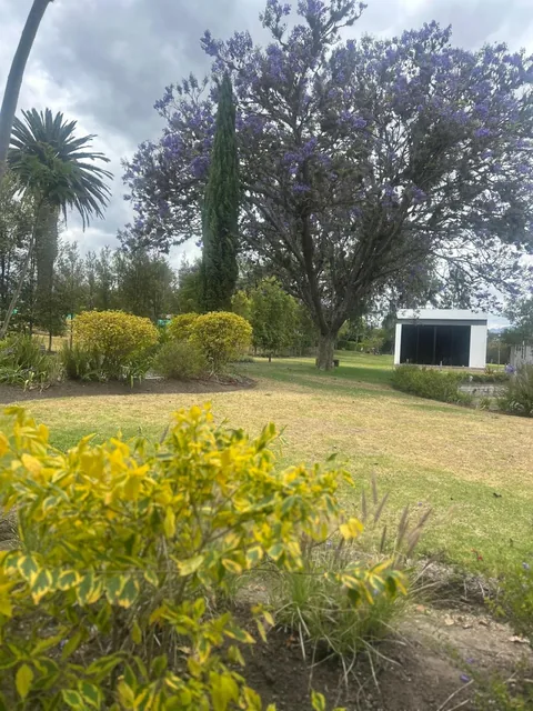 Venta Terreno Urbanización Puembo 1000 m² — imagen 3