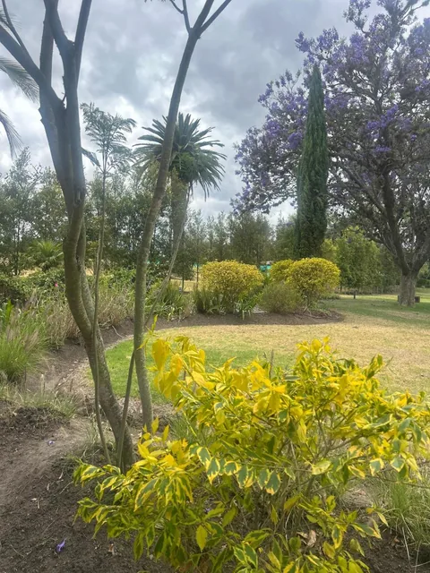 Venta Terreno Urbanización Puembo 1000 m² — imagen 2