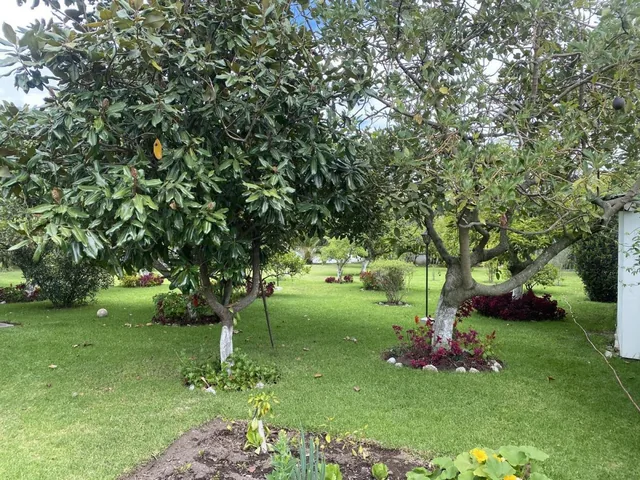 Terreno de Venta en Tumbaco, Ideal Constructores — imagen 4