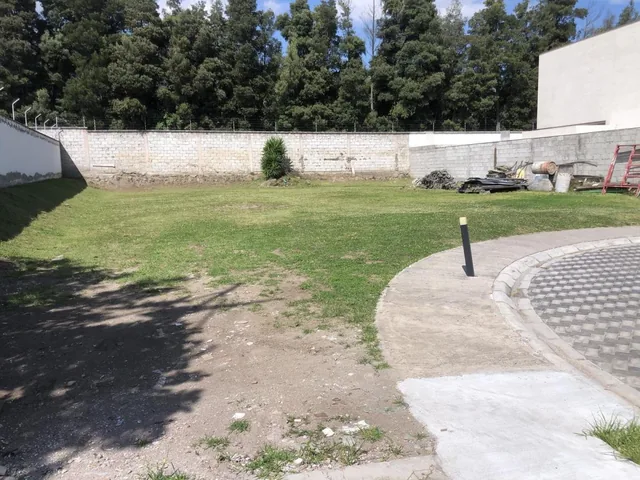 Terreno de Venta en Tumbaco, a Tres Cuadras de La Ruta Viva. Urbanización Cerrada — imagen 4