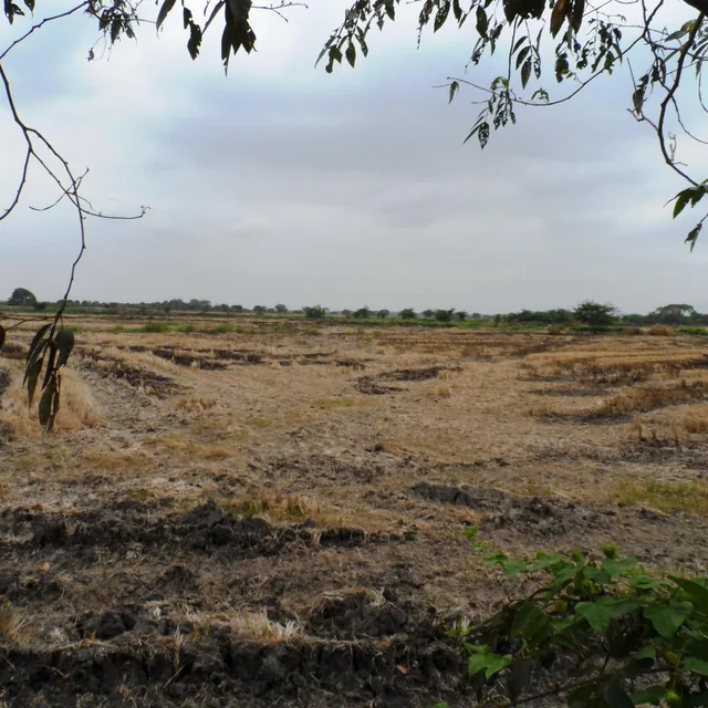 Venta de Terreno Industrial Alto Impacto Duran Tambo 47000 m² Pie de Via, Guayas — imagen 5