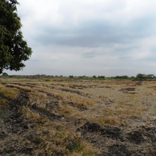 Venta de Terreno Industrial Alto Impacto Duran Tambo 47000 m² Pie de Via, Guayas — imagen 4