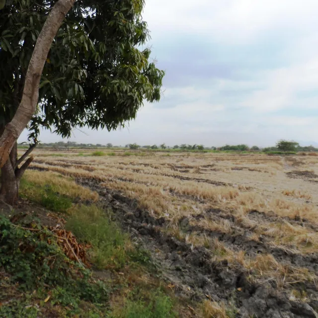 Venta de Terreno Industrial Alto Impacto Duran Tambo 47000 m² Pie de Via, Guayas — imagen 3