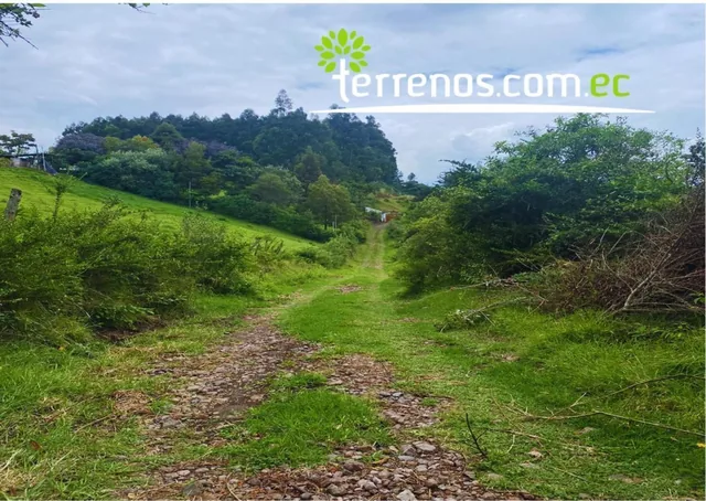 Terreno de Venta en Pintag 8687 m², Zona de Fincas — imagen 2
