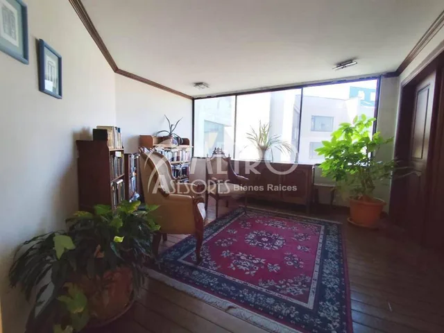 Amplio Departamento de 328 m² en Venta – El Bosque — imagen 3