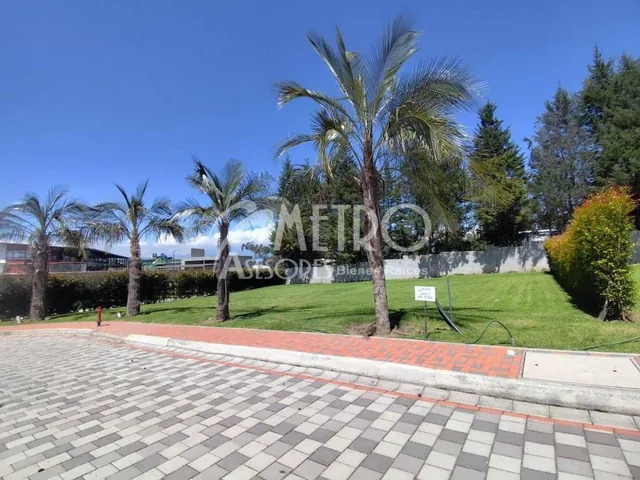 Terreno en Venta de 901 m² en Puembo — imagen 4