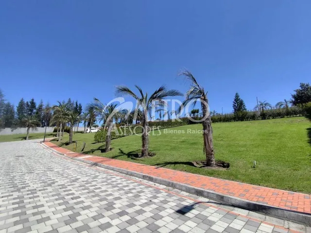 Terreno en Venta de 901 m² en Puembo — imagen 3