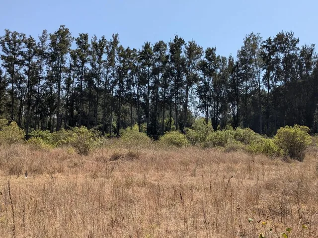 Venta Terreno en Puembo Arrayanes — imagen 4