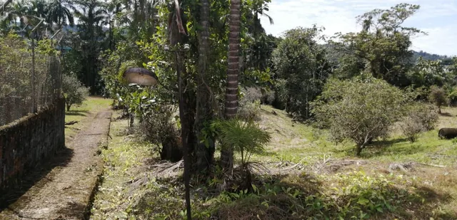 Terreno Industrial en Venta en Shell Pastaza, Pastaza — imagen 3